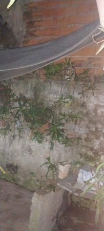 Casa a remodelar en Marco Avellaneda 309