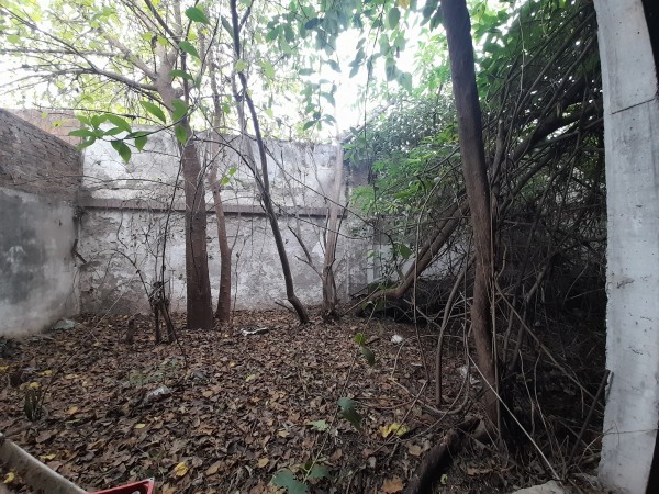Local comercial tres plantas en Avenida Mitre 755