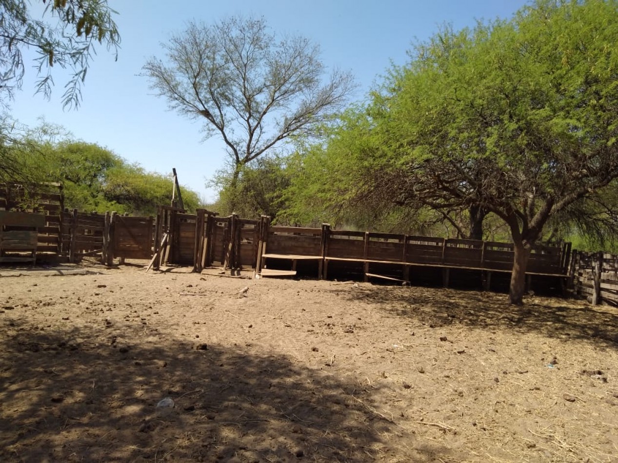 Campo de 2.000 Hectareas en Pozo Hondo
