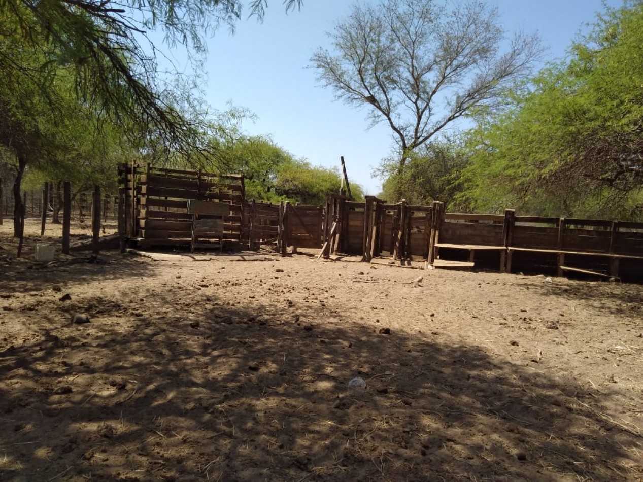 Campo de 2.000 Hectareas en Pozo Hondo