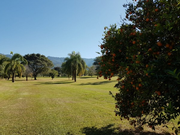 Hermoso lote central en Country Las Yungas en Yerba Buena