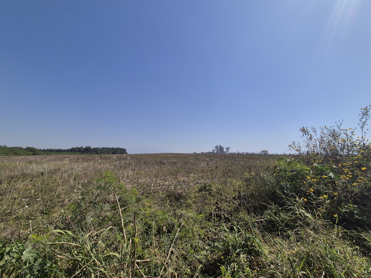LOTES DESDE 2.500 M2 EN LAS TALITAS SOBRE LA RUTA 