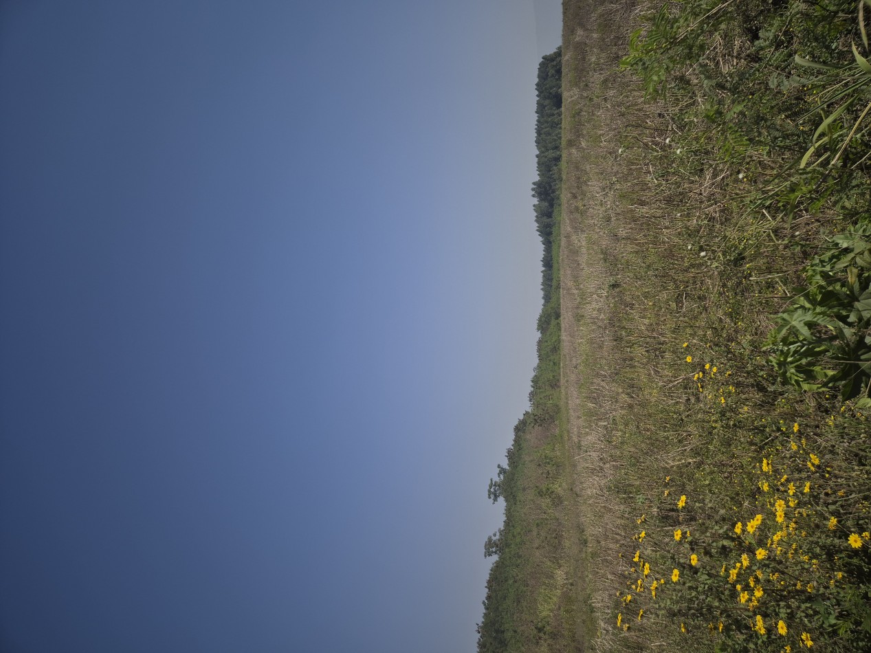 LOTES DESDE 2.500 M2 EN LAS TALITAS SOBRE LA RUTA 