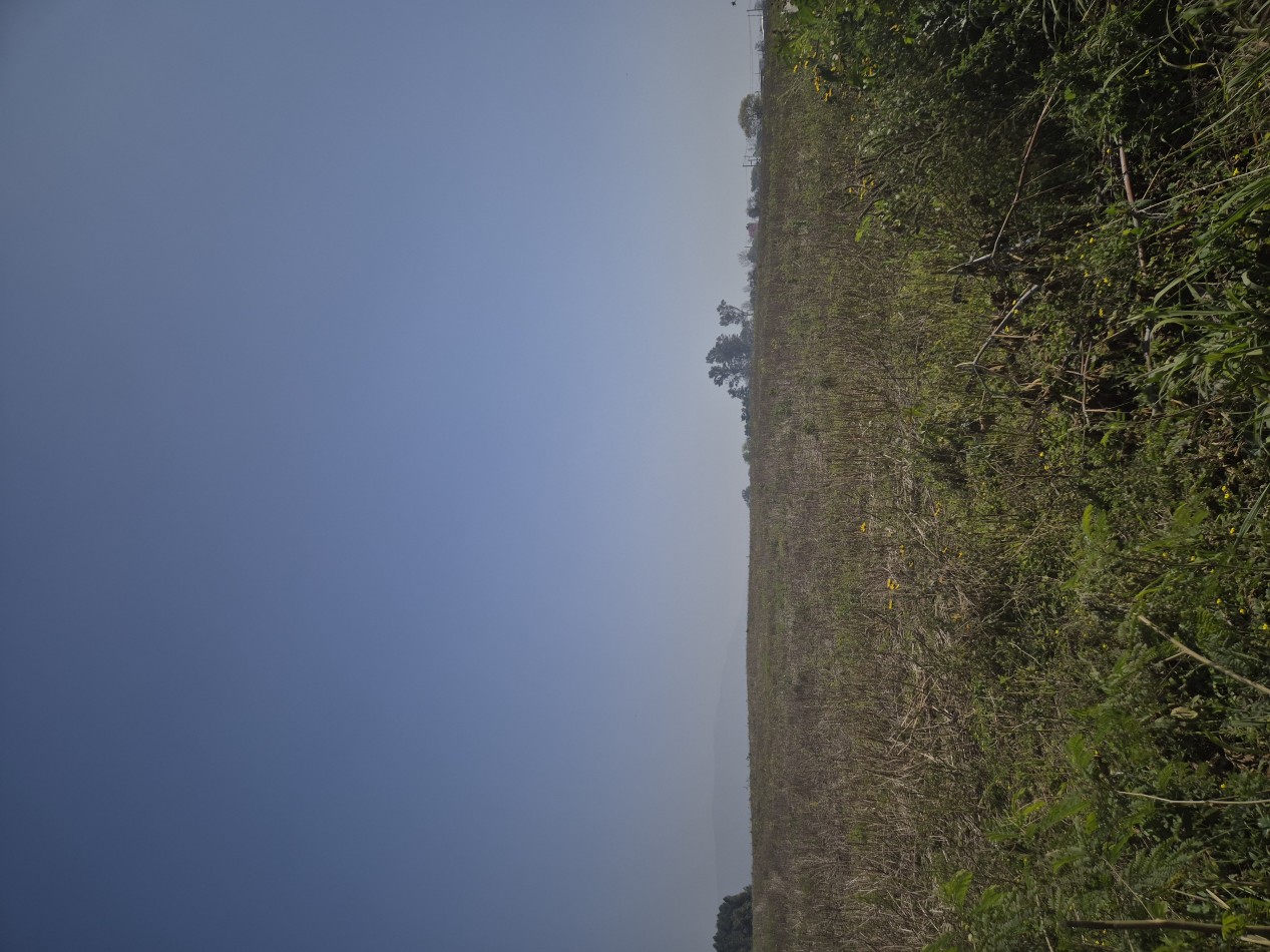LOTES DESDE 2.500 M2 EN LAS TALITAS SOBRE LA RUTA 