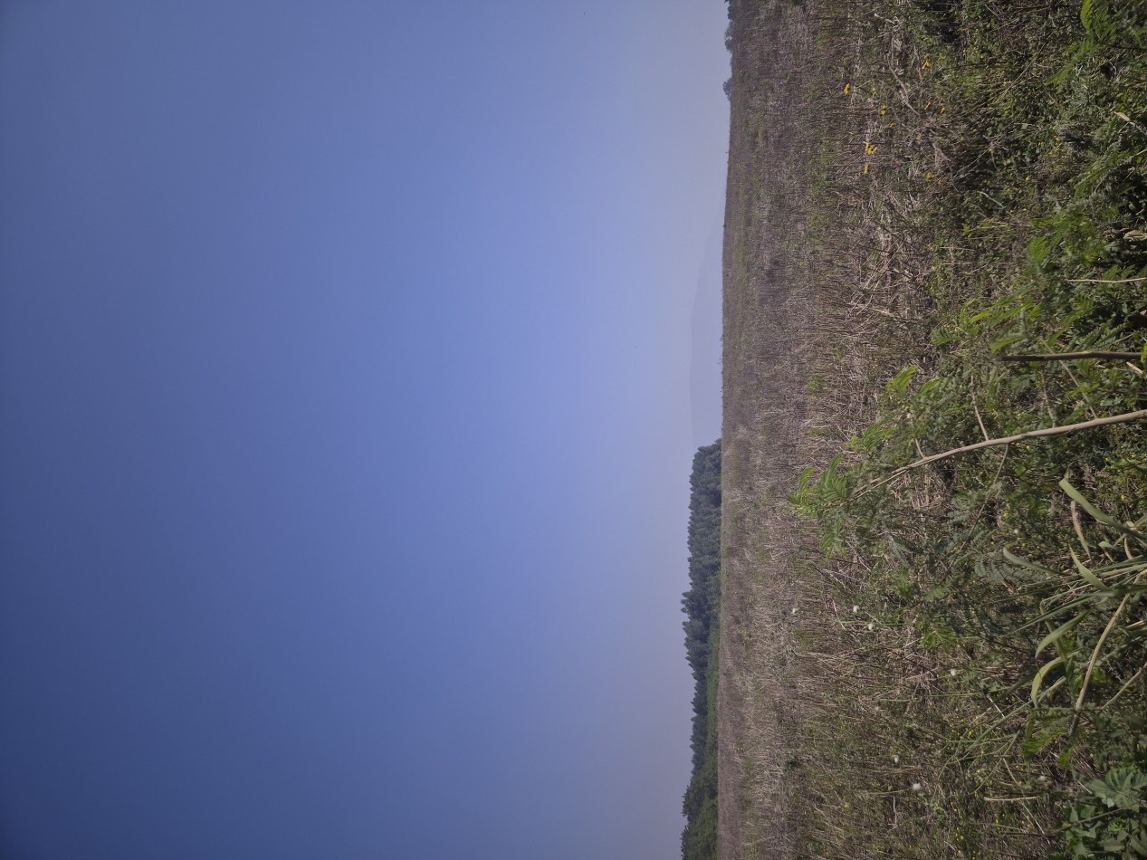 LOTES DESDE 2.500 M2 EN LAS TALITAS SOBRE LA RUTA 