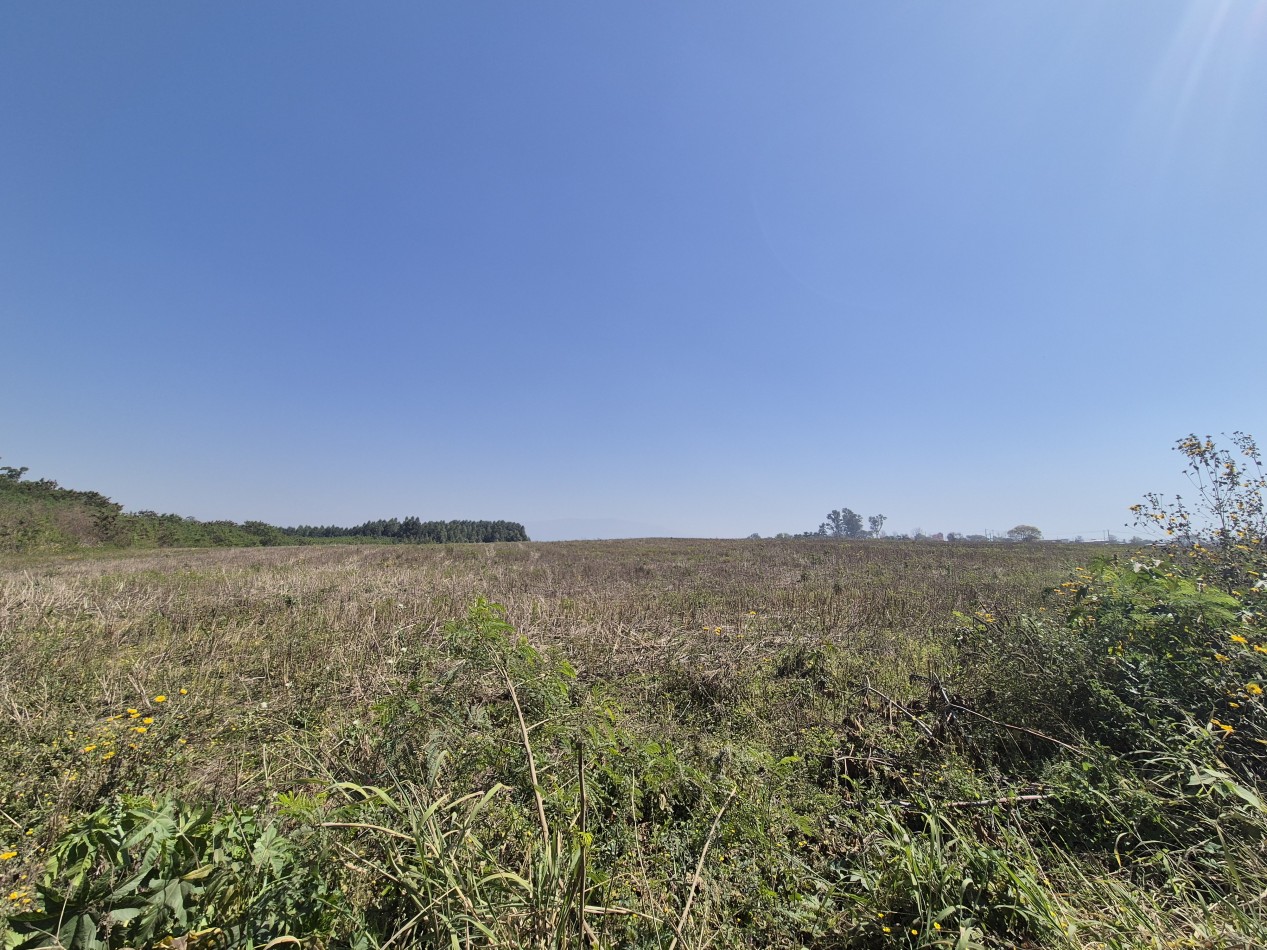 LOTES DESDE 2.500 M2 EN LAS TALITAS SOBRE LA RUTA 