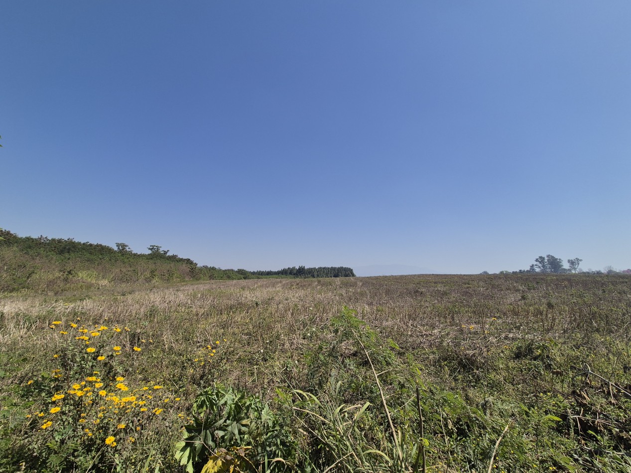 LOTES DESDE 2.500 M2 EN LAS TALITAS SOBRE LA RUTA 