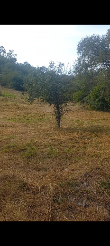 OPORTUNIDAD TERRENO CON CONSTRUCCION EN CLUB DE CAMPO HUAYRA HORCO EN RACO 