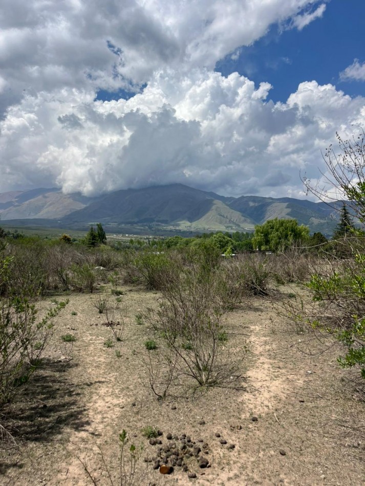 ULTIMO LOTE EN EL CHURQUI DE 1000 M2 