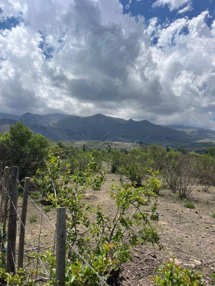 ULTIMO LOTE EN EL CHURQUI DE 1000 M2 