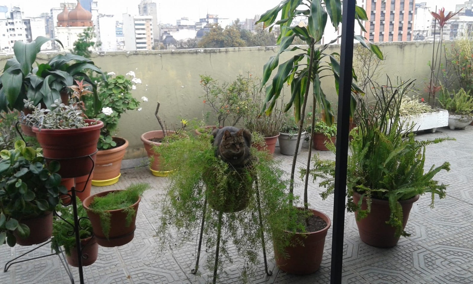 DEPARTAMENTO SEMIPISO DE TRES DORMITORIOS EN 24 DE SETIEMBRE Y LAS HERAS CON TERRAZA 