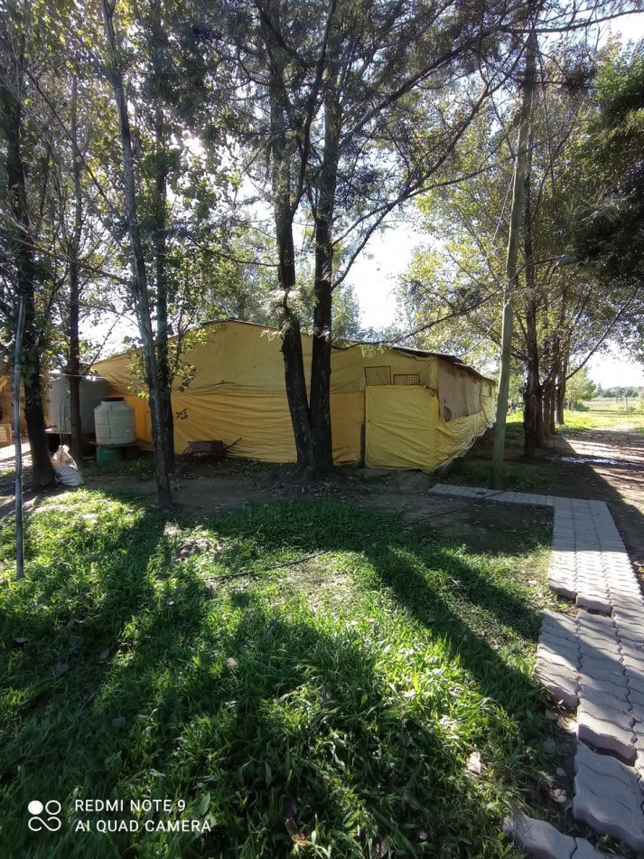 GRANJA AVICOLA PRODUCIENDO EN RUTA PROVINCIAL 305 Y CAMINO DE ALTA GRACIA EN UNA HECTAREA Y MEDIA