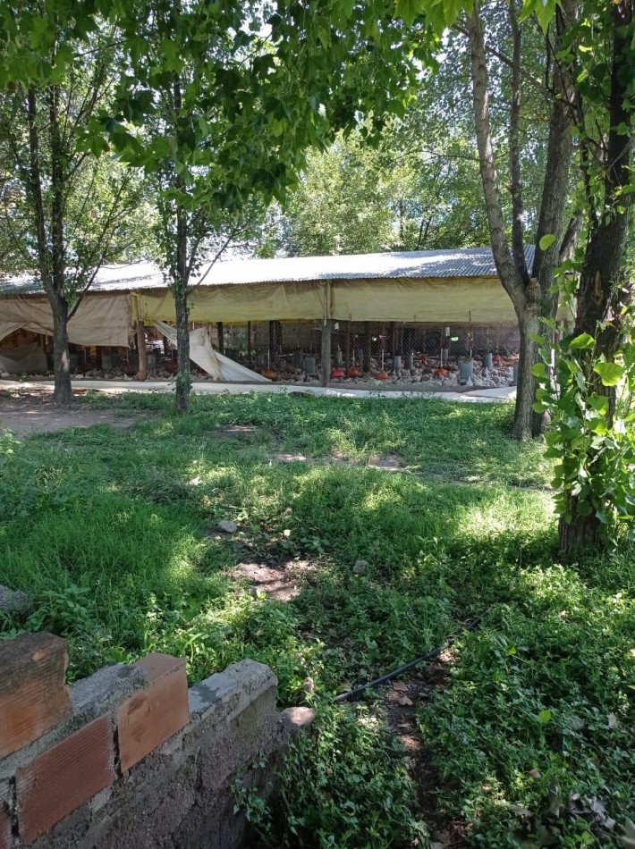 GRANJA AVICOLA PRODUCIENDO EN RUTA PROVINCIAL 305 Y CAMINO DE ALTA GRACIA EN UNA HECTAREA Y MEDIA