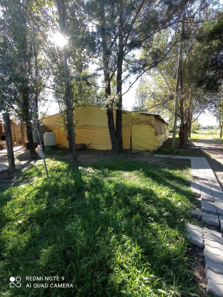 GRANJA AVICOLA PRODUCIENDO EN RUTA PROVINCIAL 305 Y CAMINO DE ALTA GRACIA EN UNA HECTAREA Y MEDIA