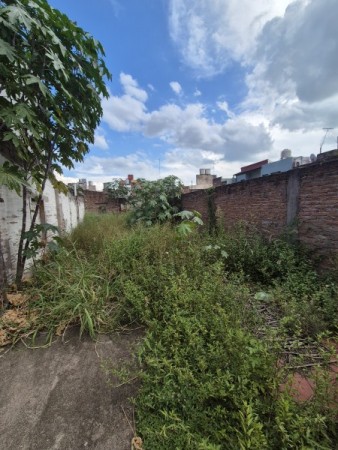Terreno de 200 m2 con escritura en San Lorenzo 920