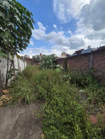 Terreno de 200 m2 con escritura en San Lorenzo 920
