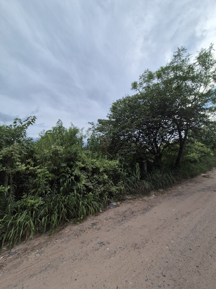 DIEZ HECTAREAS EN LAS TALITAS CON ESCRITURA APTO DESARROLLO INMOBILIARIO