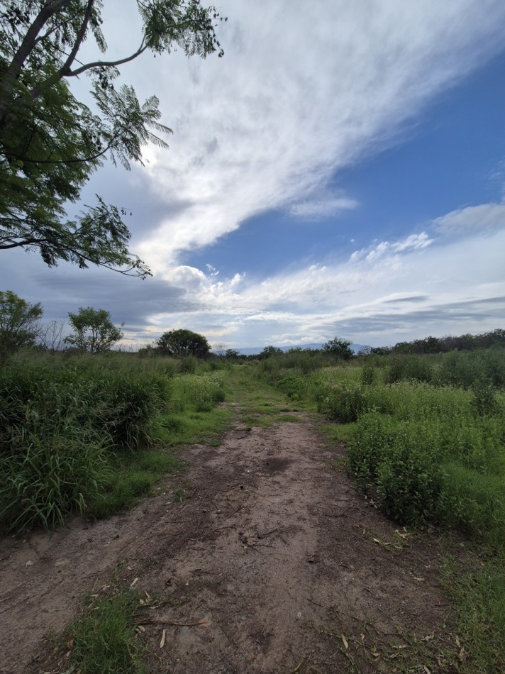 DIEZ HECTAREAS EN LAS TALITAS CON ESCRITURA APTO DESARROLLO INMOBILIARIO