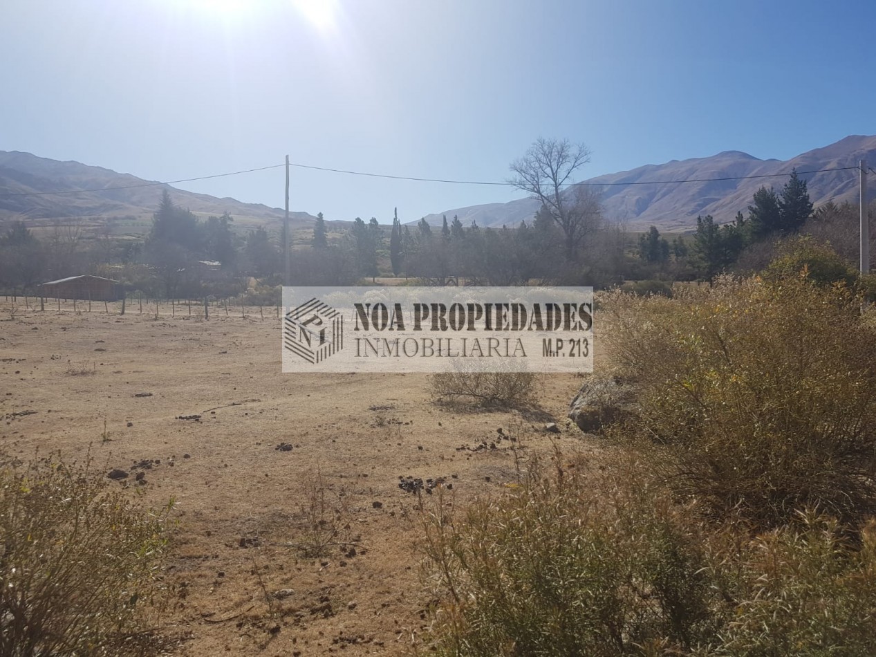 TERRENO EN TAFI DEL VALLE DE 3.000 M2 EN LA OVEJERIA TODO PLANO