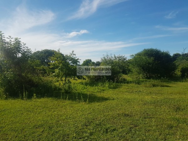 TERRENO EN LAS TALITAS, 25.000 m2
