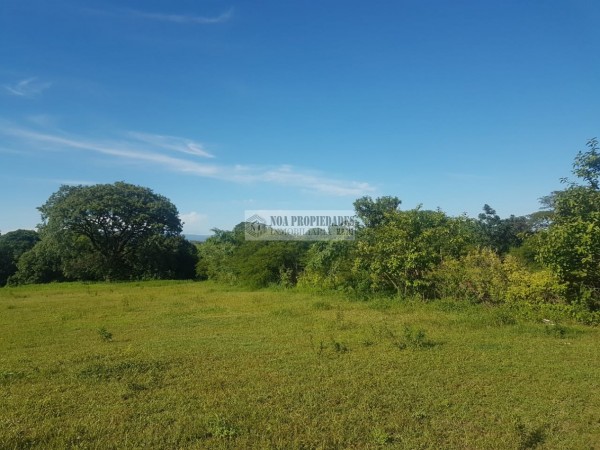 TERRENO EN LAS TALITAS, 25.000 m2