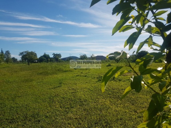 TERRENO EN LAS TALITAS, 25.000 m2