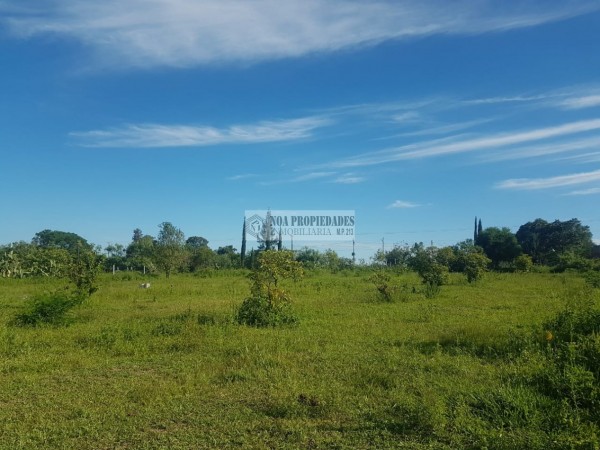 TERRENO EN LAS TALITAS, 25.000 m2