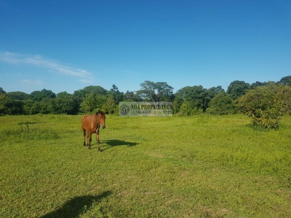 TERRENO EN LAS TALITAS, 25.000 m2