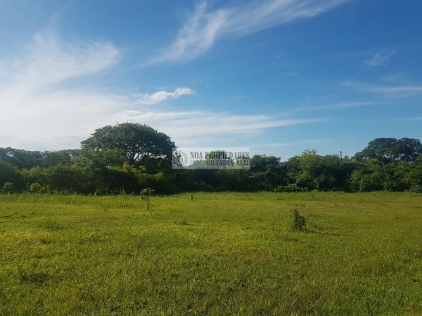 TERRENO EN LAS TALITAS, 25.000 m2