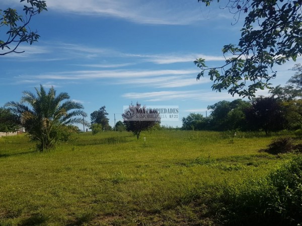 TERRENO EN LAS TALITAS, 25.000 m2