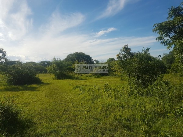 TERRENO EN LAS TALITAS, 25.000 m2
