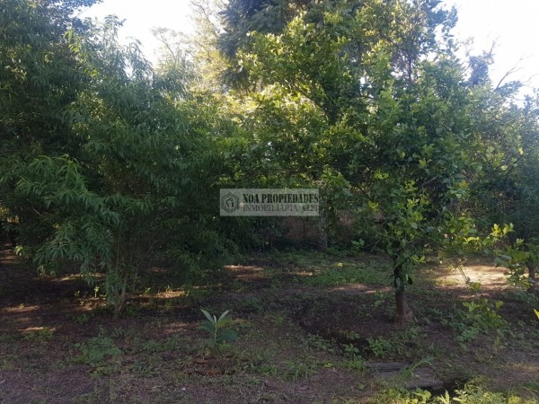 TERRENO EN LAS TALITAS, 25.000 m2
