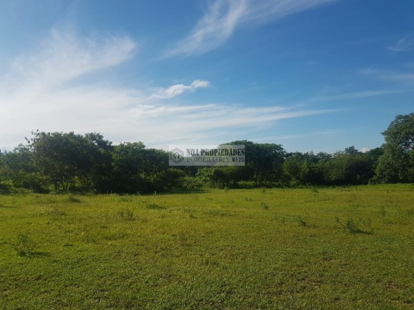 TERRENO EN LAS TALITAS, 25.000 m2