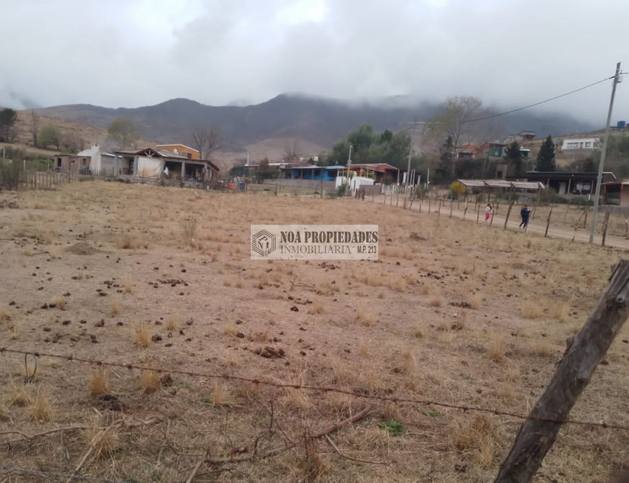 TERRENO TAFI DEL VALLE, LA OVEJERIA 500M2