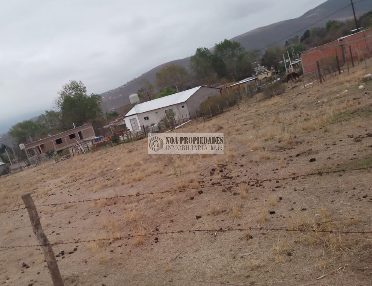 TERRENO TAFI DEL VALLE, LA OVEJERIA 500M2