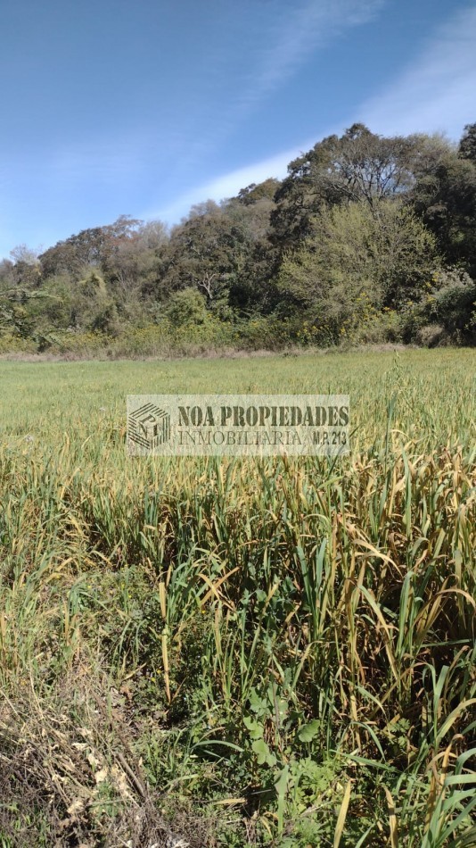 TERRENOS BARATOS EN LAS SALINAS A 15 MINUTOS DEL CENTRO