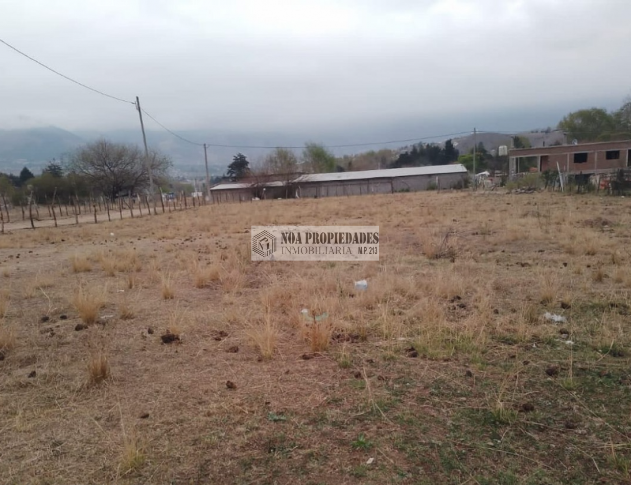 TERRENO TAFI DEL VALLE, LA OVEJERIA 500M2