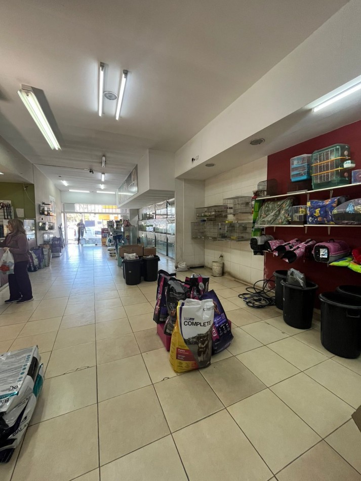 LOCAL COMERCIAL EN AVENIDA COLON 567