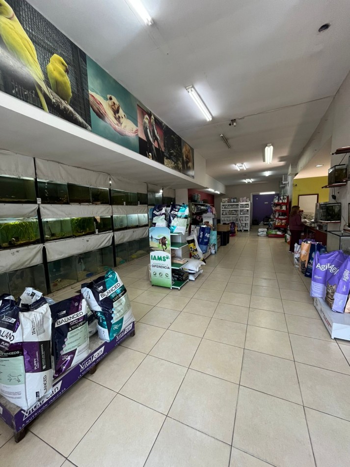 LOCAL COMERCIAL EN AVENIDA COLON 567