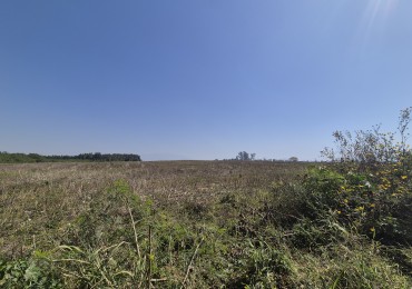 LOTES DESDE 2.500 M2 EN LAS TALITAS SOBRE LA RUTA 