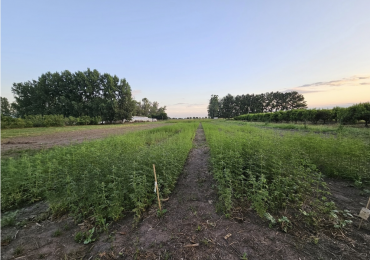 IMPORTANTE CAMPO EN FAMAILLA