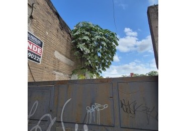 Terreno de 200 m2 con escritura en San Lorenzo 920