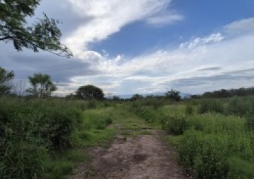 DIEZ HECTAREAS EN LAS TALITAS CON ESCRITURA APTO DESARROLLO INMOBILIARIO