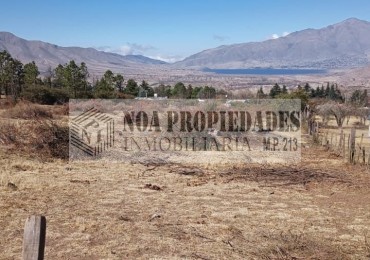 TERRENO EN TAFI DEL VALLE, 11000 M2