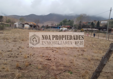 TERRENO TAFI DEL VALLE, LA OVEJERIA 500M2