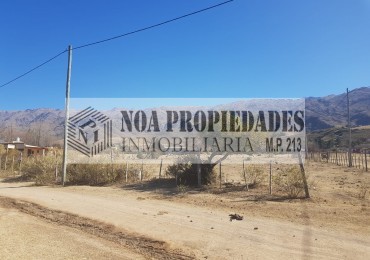 TERRENO EN TAFI DEL VALLE DE 3.000 M2 EN LA OVEJERIA TODO PLANO